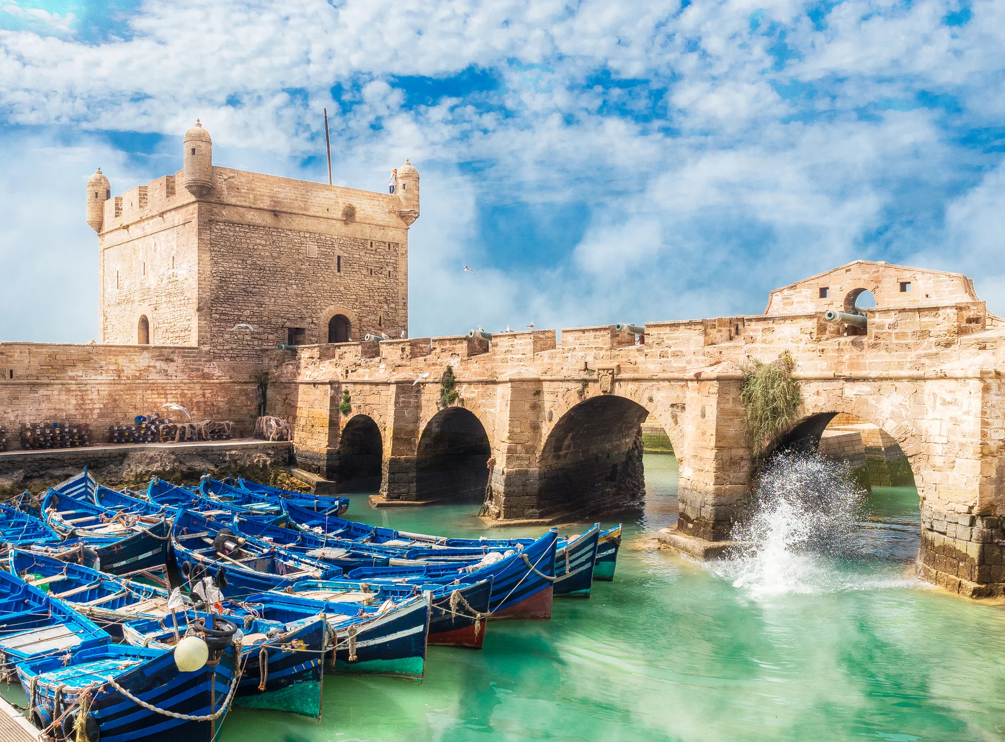 Marrakech to Essaouira Coastal Day Tour