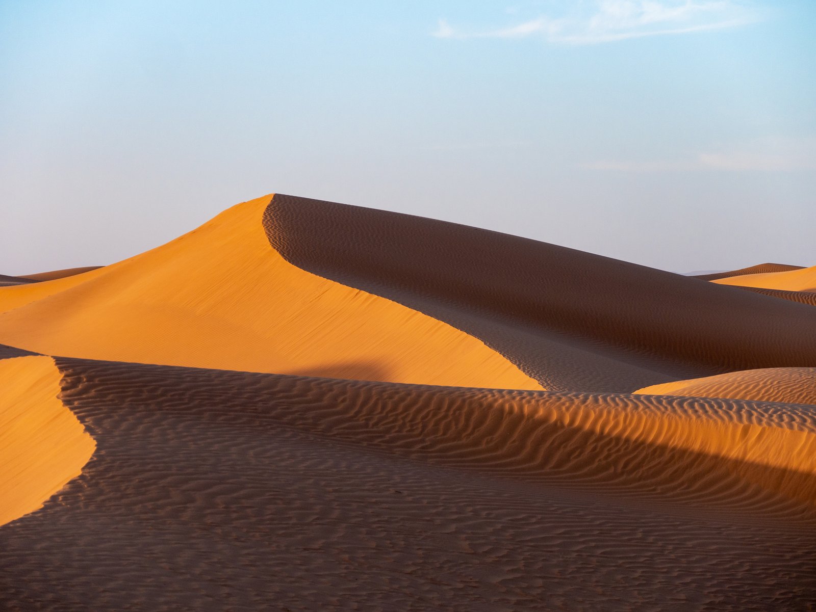 Camel caravan in Sahara
