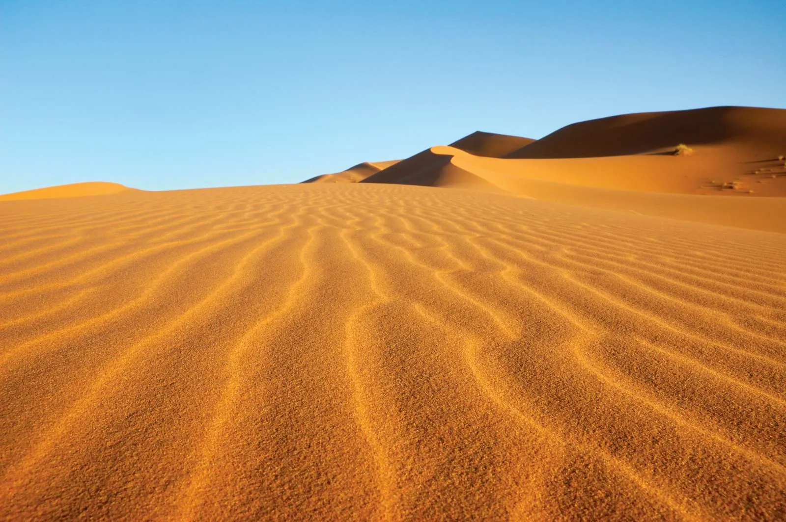 6-Day Tangier to Marrakech