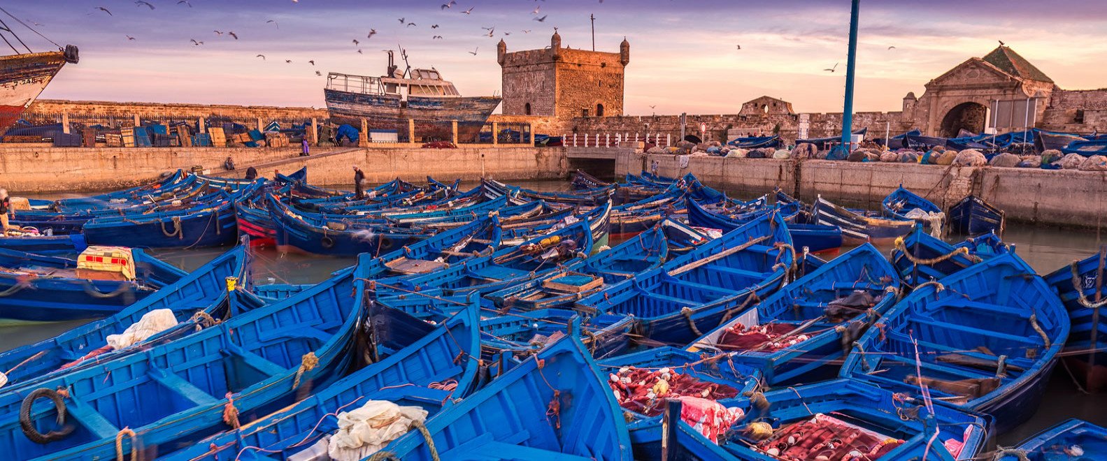 Essaouira Coastal Day Tour