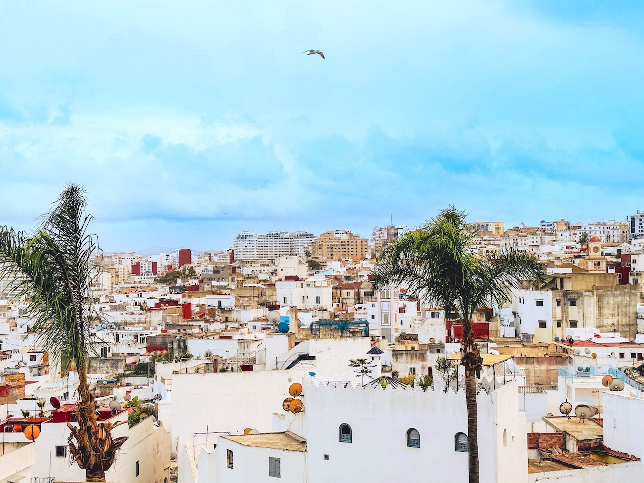Tangier to Chefchaouen Full-Day Trip